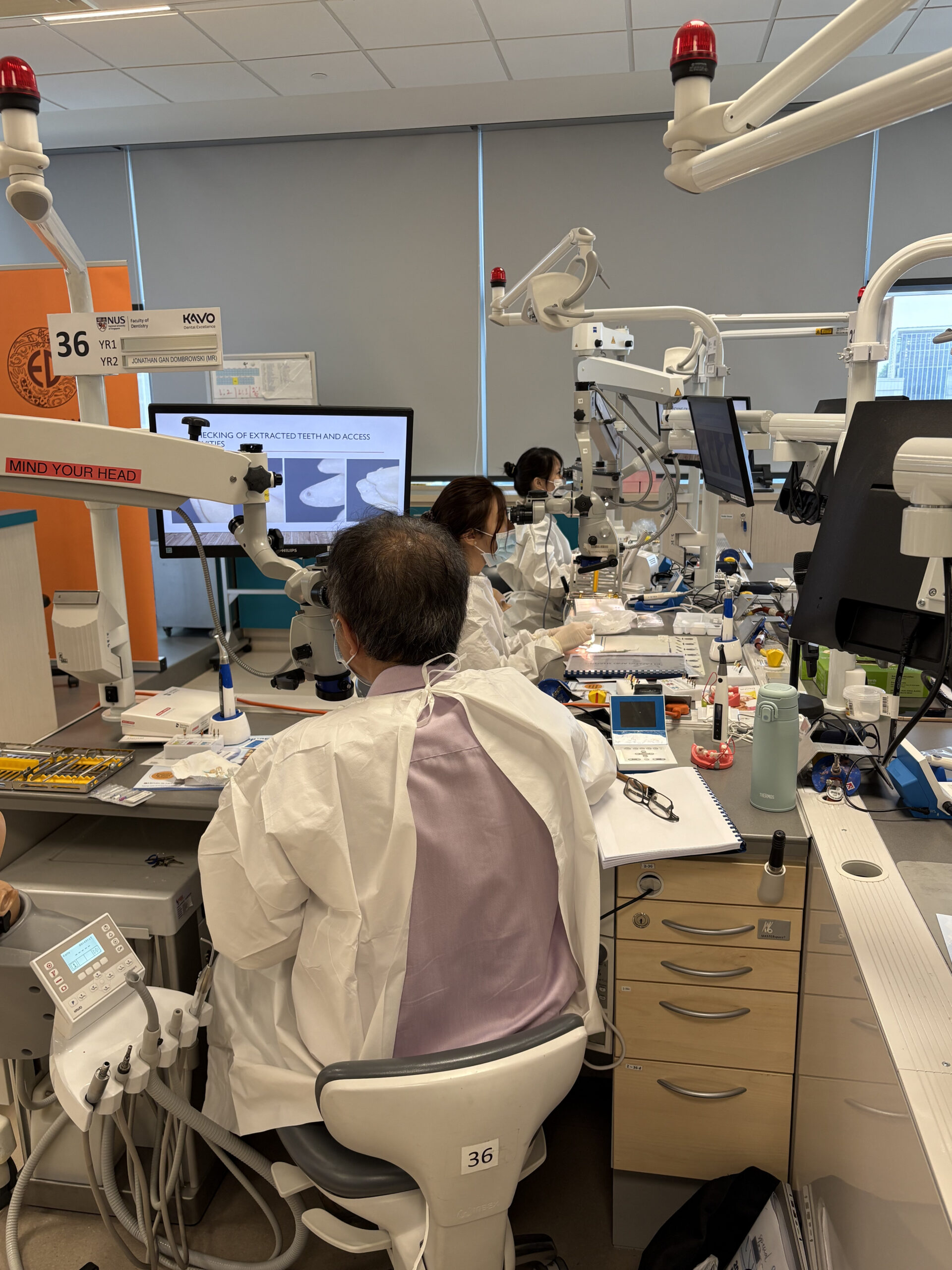 Everyday Endodontics with Contemporary Materials