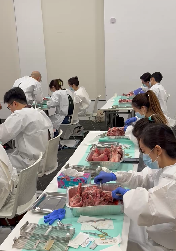 SMART Foundational Implant Course