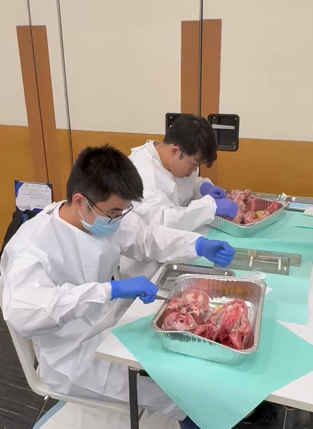 SMART Foundational Implant Course